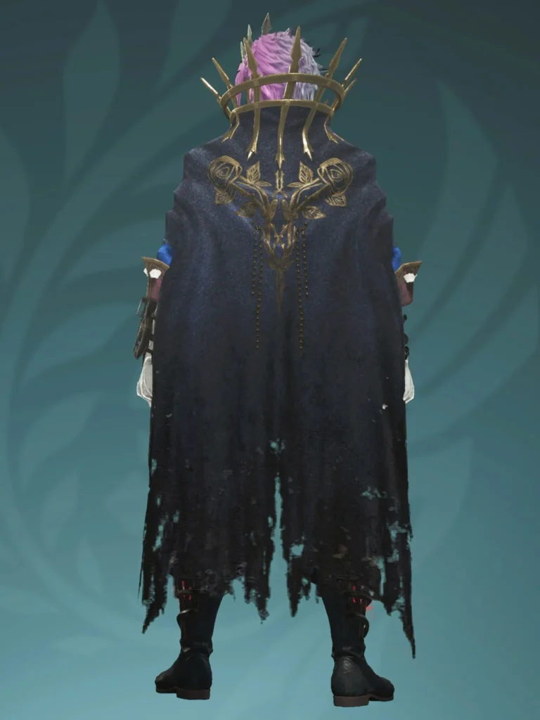 今回の重ね着(後)