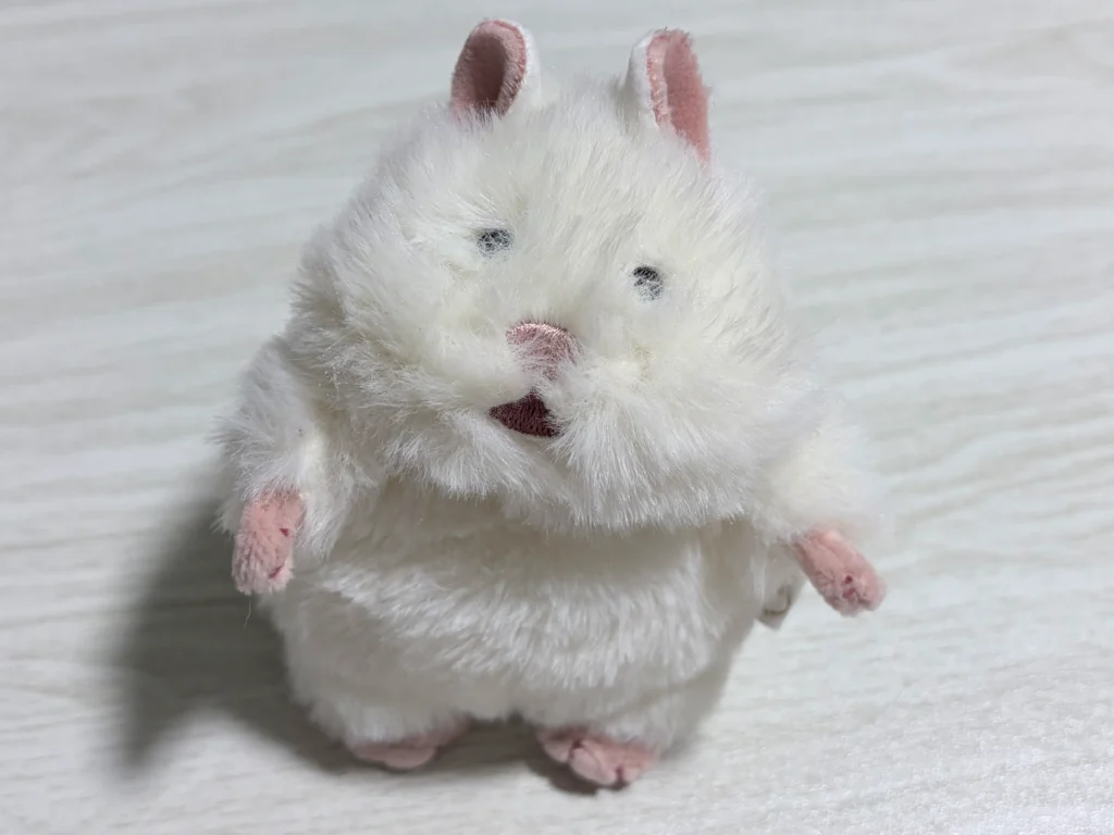 小さい命を迎えました