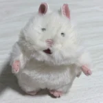 おもち
