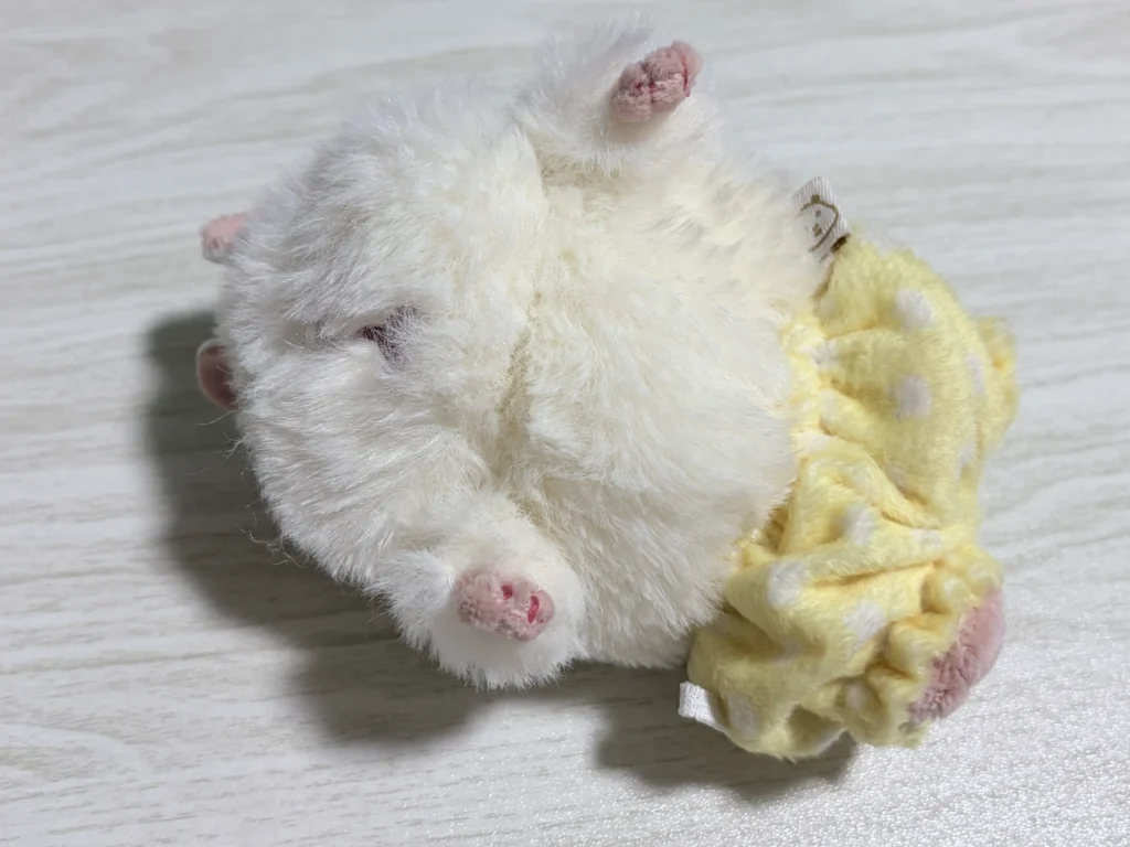 ズボンが履けなかったおもち