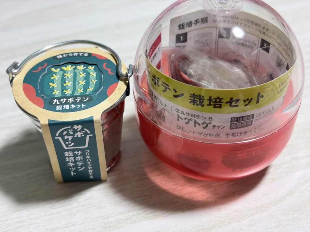 バケツとカプセルのサボテン栽培キット