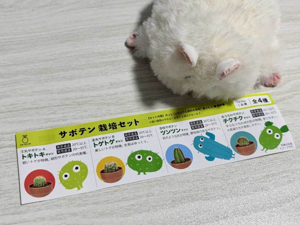 おもちも一緒に説明書を見る