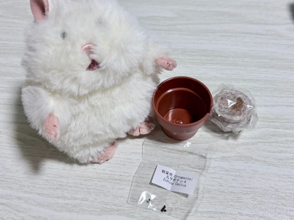 カプセルの中身は鉢と土と種